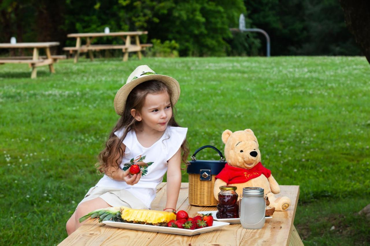 Skylaranna Resort & Spa Hendersonville Ngoại thất bức ảnh